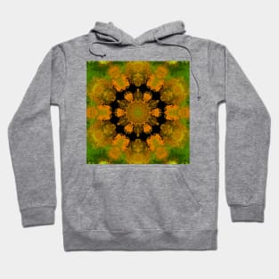 Psychedelic Hippie Yellow and Green Hoodie